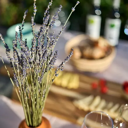 Spada Brand New With Garden 3 Min From Beach! Lejlighed Poreč